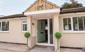 Daisy Tree Cottage